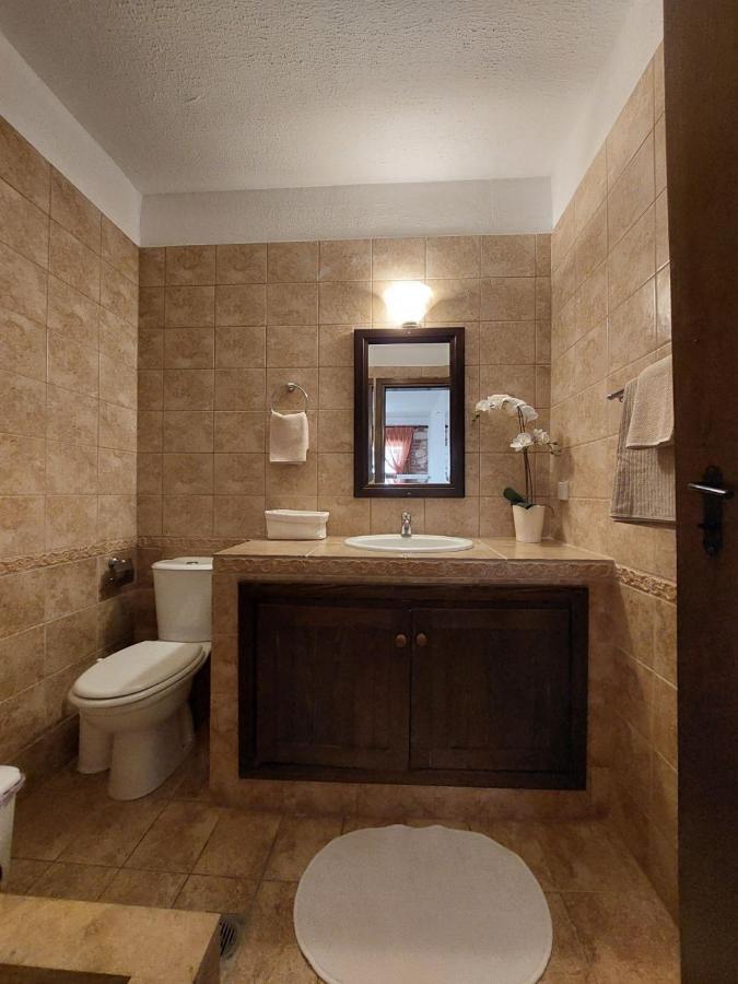 Appartamento Elpida Stone House Psakoudia Esterno foto